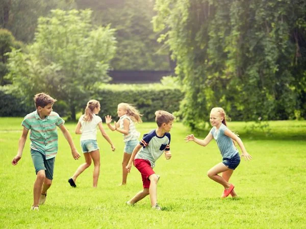 Hoabl Aero Estate Khopoli Plot